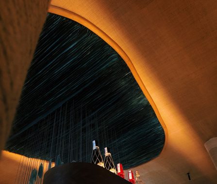 Detalle iluminación Barracuda 05