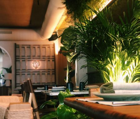 Instalación sistema control Barracuda MX