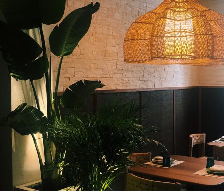 Instaladores sistemas control iluminación Barracuda MX