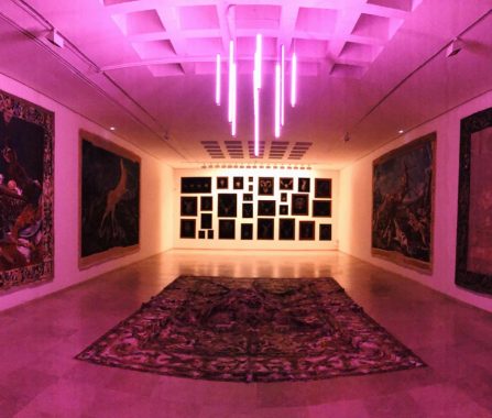 Sala caza museo Segovia