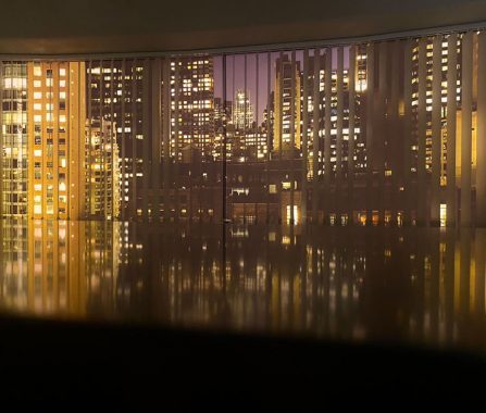 Electricistas ikigai